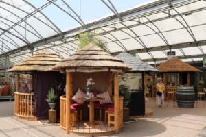 Breeze House Brighton Showsite