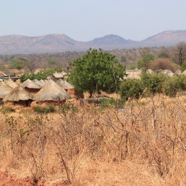 Africa thatch huts