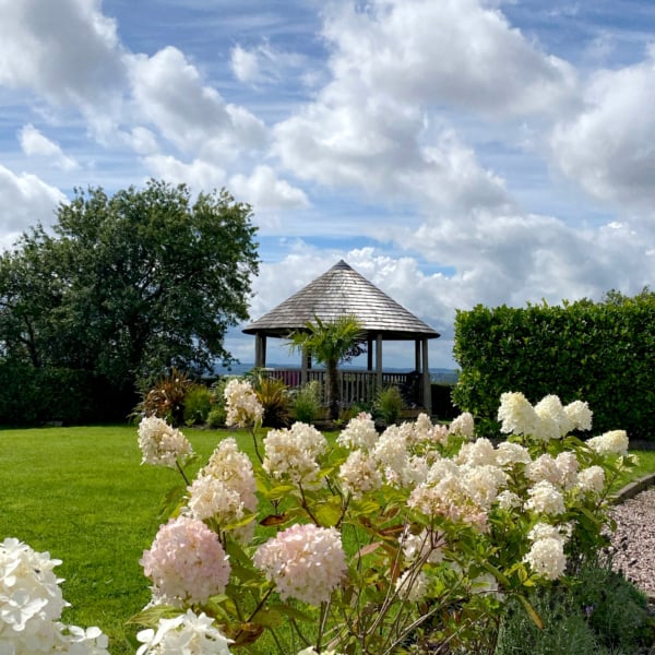 Delta Breeze House in a garden with white hydrangeas