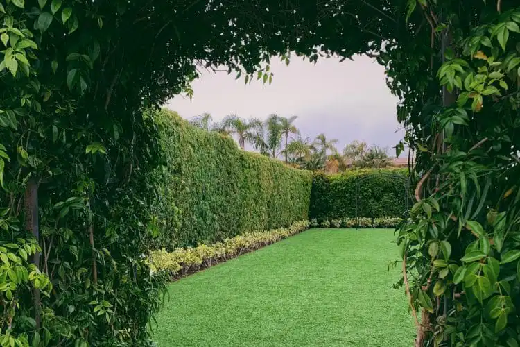 A private garden through an archway