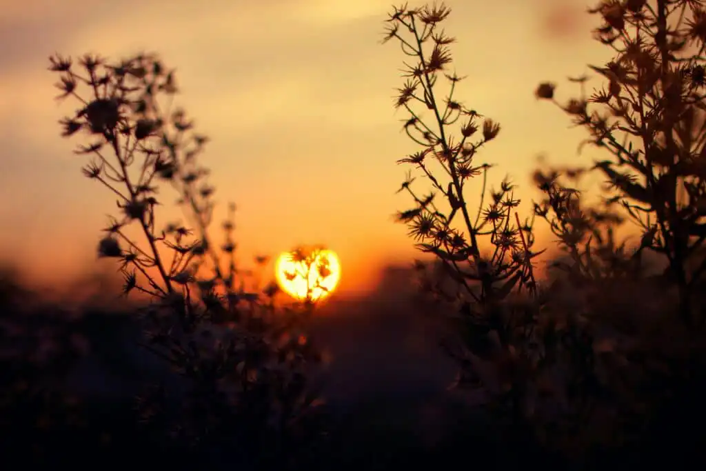 Sunrise