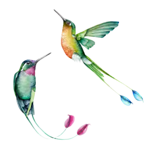 Hummingbirds