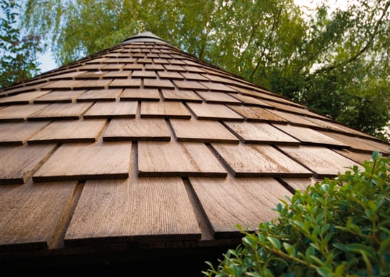 Cedar Shingle