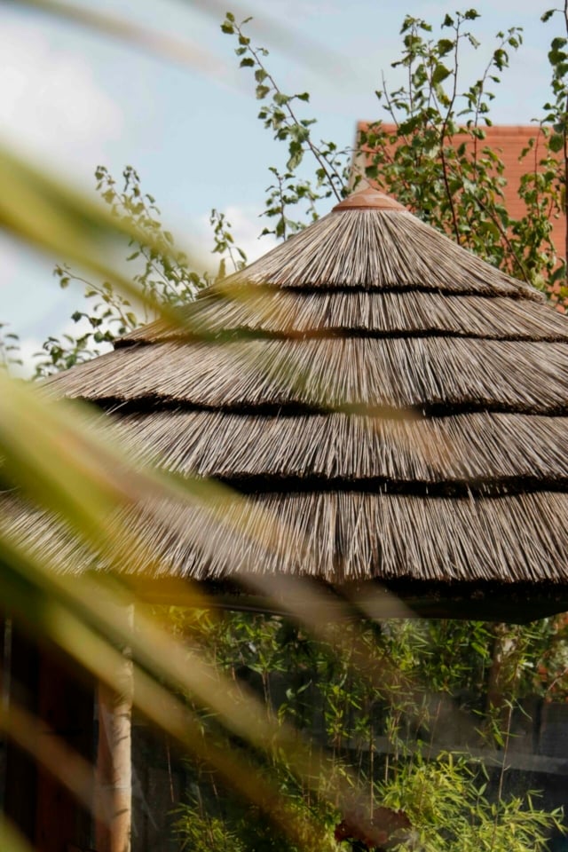 Roof of thatched breeze house