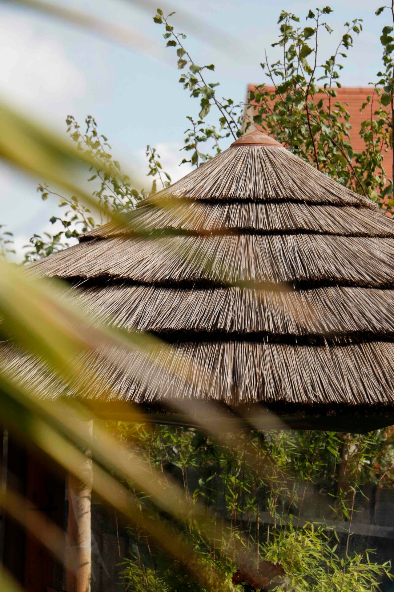 Roof of thatched breeze house