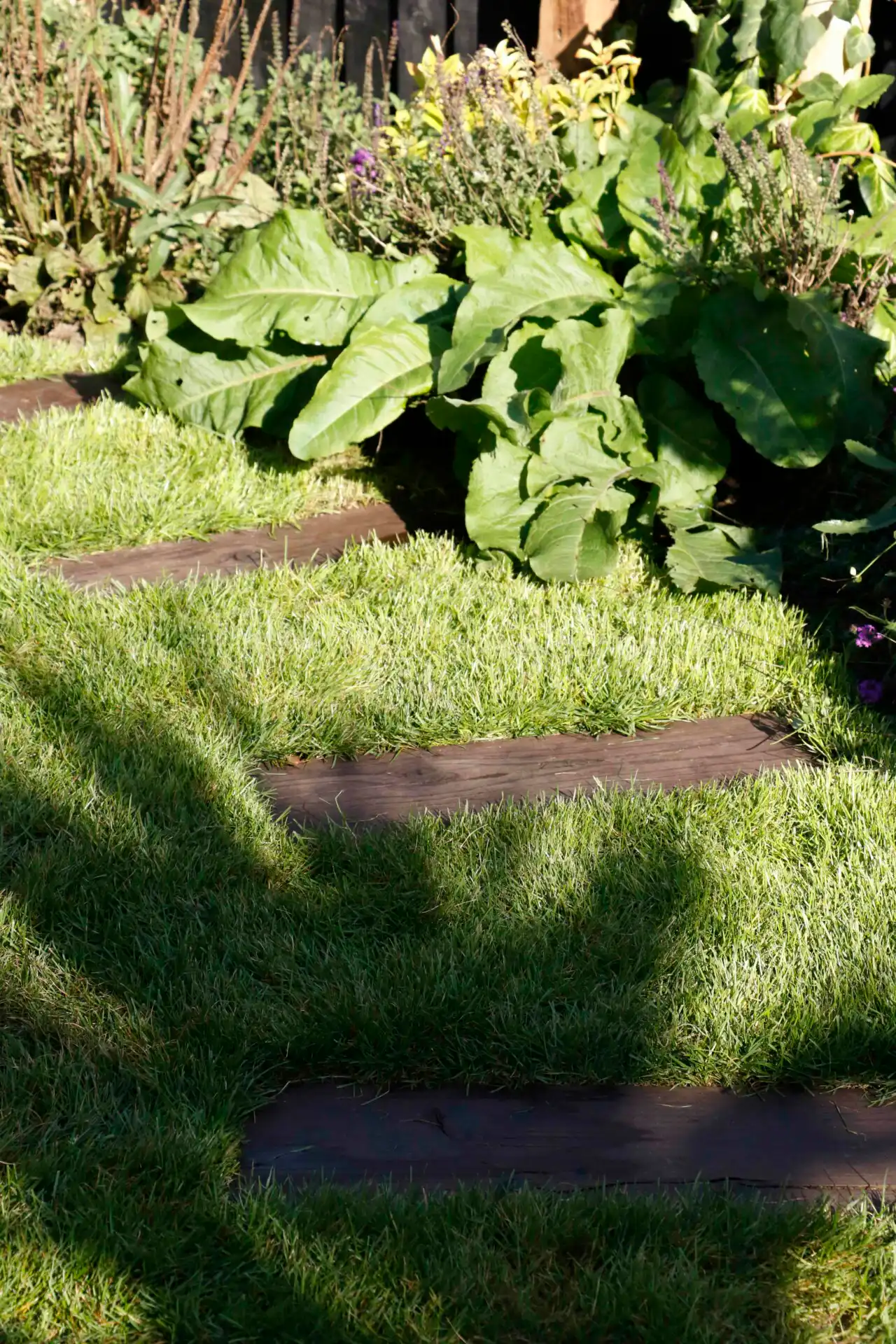 Wooden steps in garden surrounded by grass