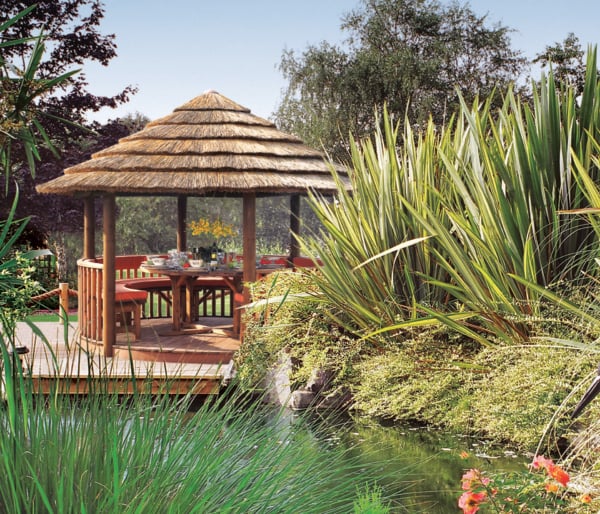 breeze house safari in garden with pond and flowers