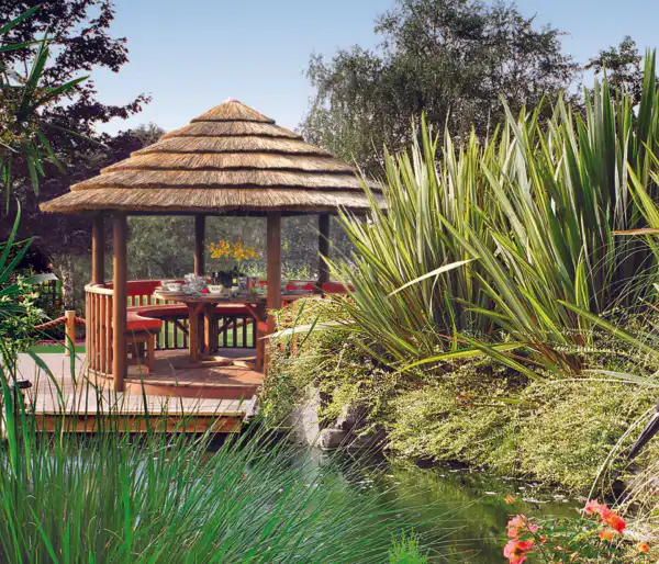 breeze house safari in garden with pond and flowers