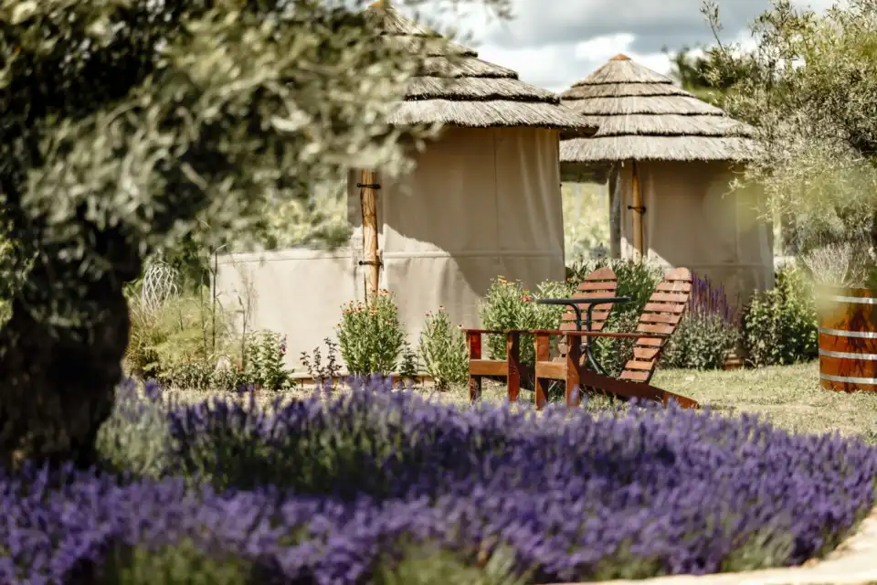 breeze houses with thatched roof in Kenton Park Estate in garden with planted Lavender