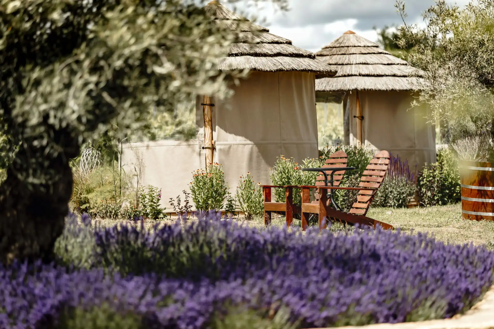 breeze houses with thatched roof in Kenton Park Estate in garden with planted Lavender