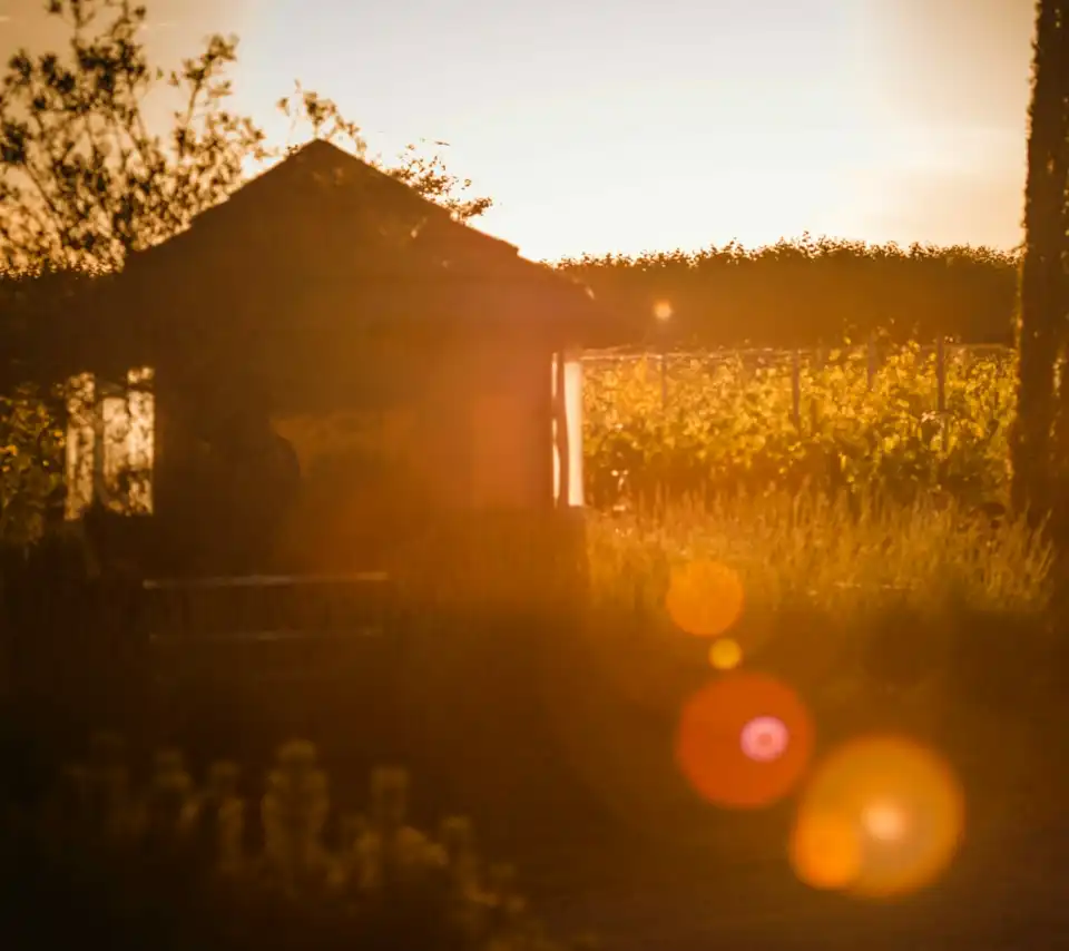 garden at sunset with breeze house gazebo with closed canvas panels