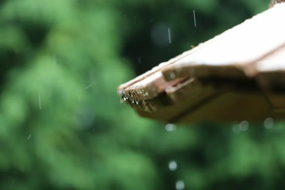 water falling and running of wooden roof