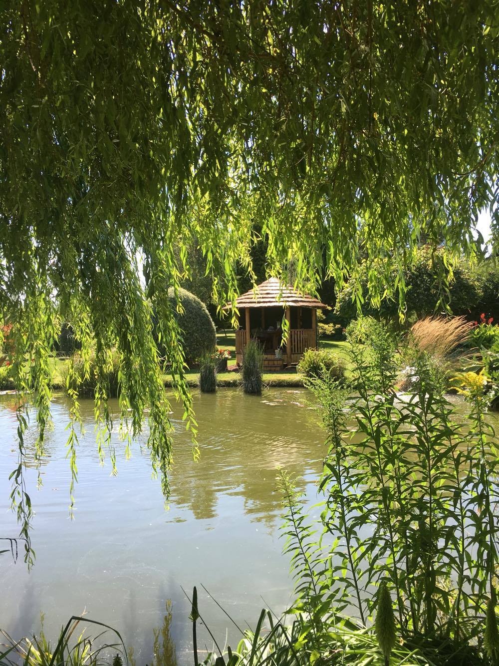 breeze house gazebo in garden with large pond surrounded by plants and trees