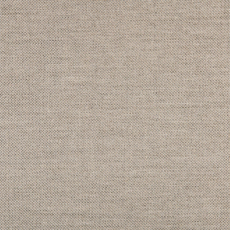 1 3659 AG PANAMA FOSSIL