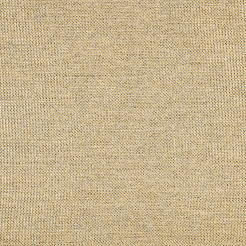 2 1324 AG PANAMA MUSTARD