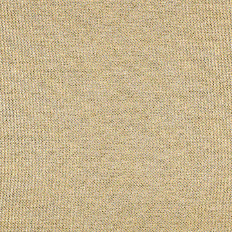 2 1324 AG PANAMA MUSTARD