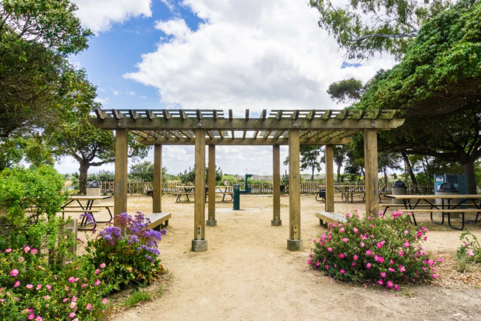 Pergola