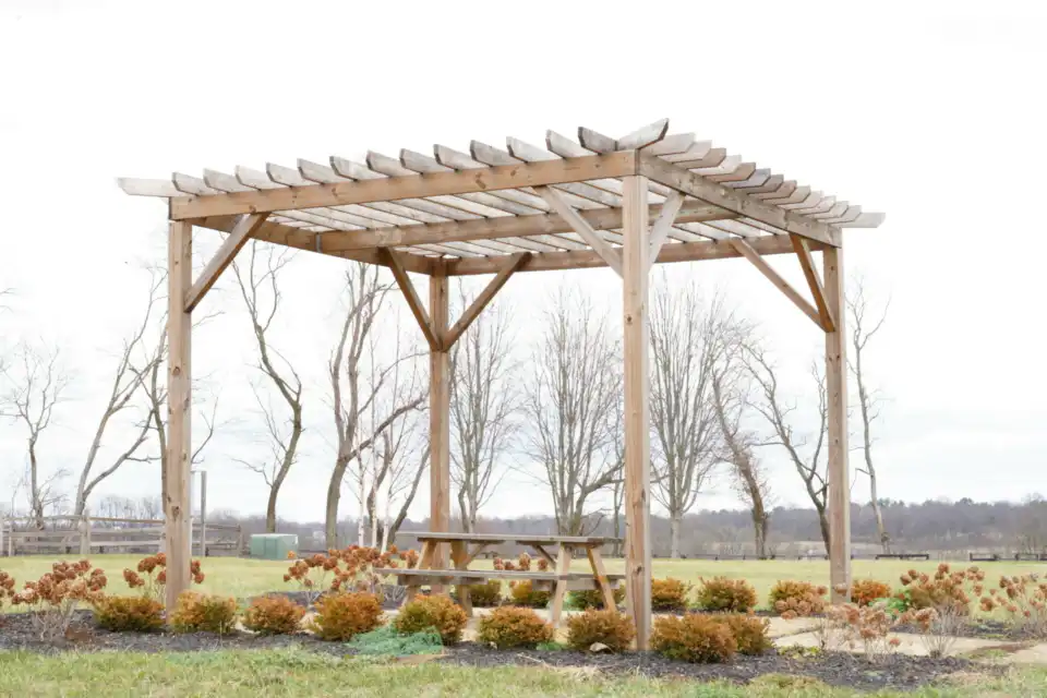 Pergola2