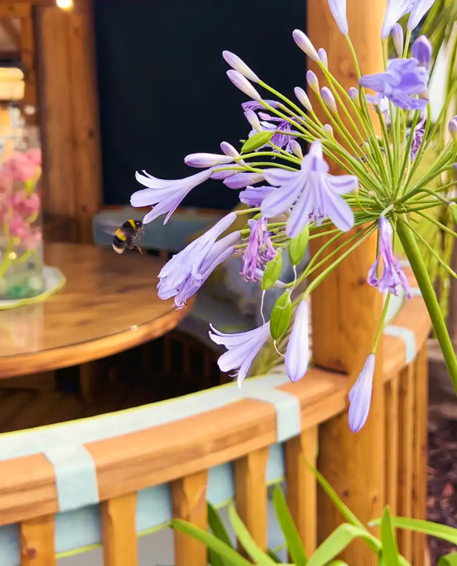 Bee flying towards purple flower outside a Breeze House