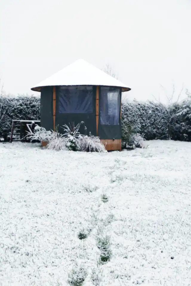 Breeze House 2019