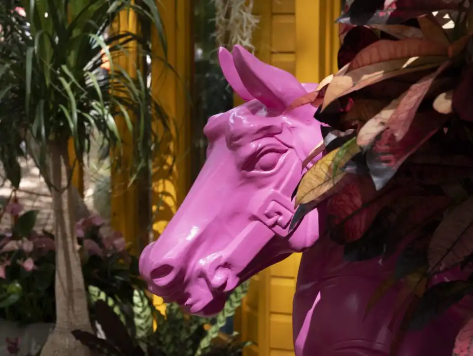 Heliotropic Carousel 2