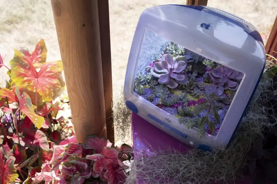 Devaki Jones Plant Studio Girlypop Biosphere tv planter