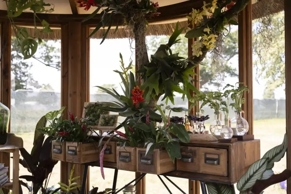 Liuva Chacon Plantamamita Re Create Yourself with Houseplants interior hanging plants furniture